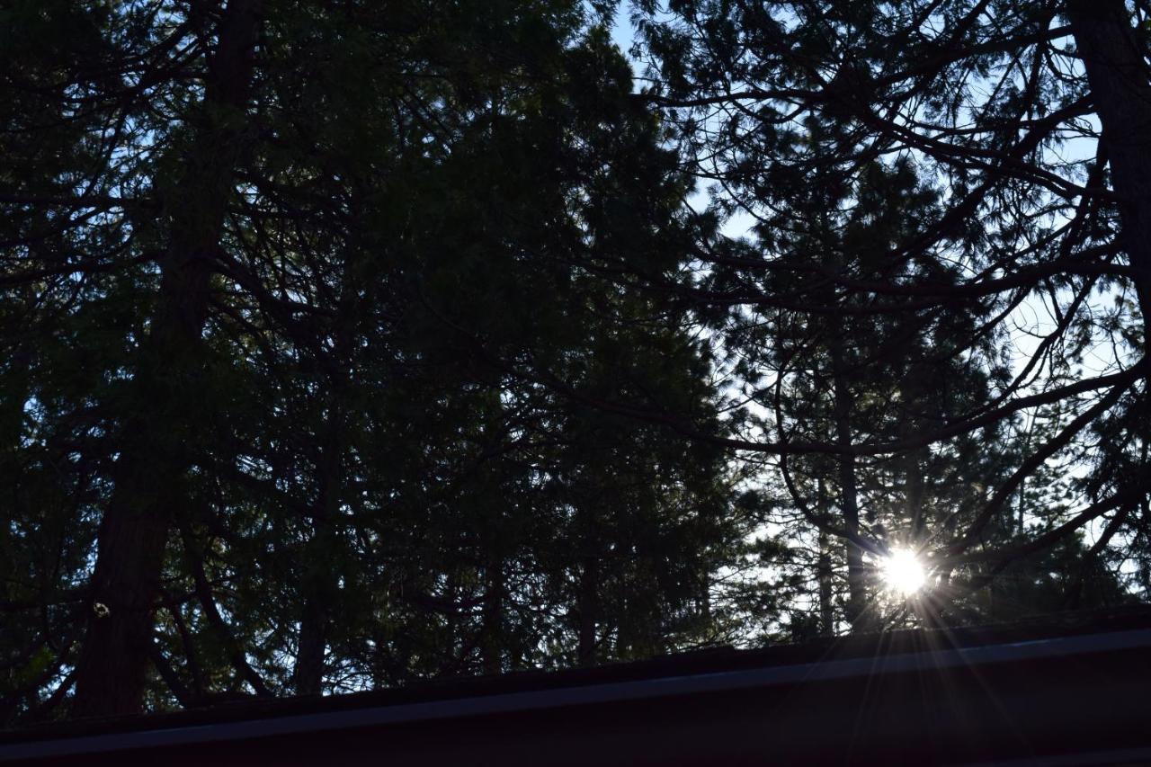 11b Sequoia House Chalet