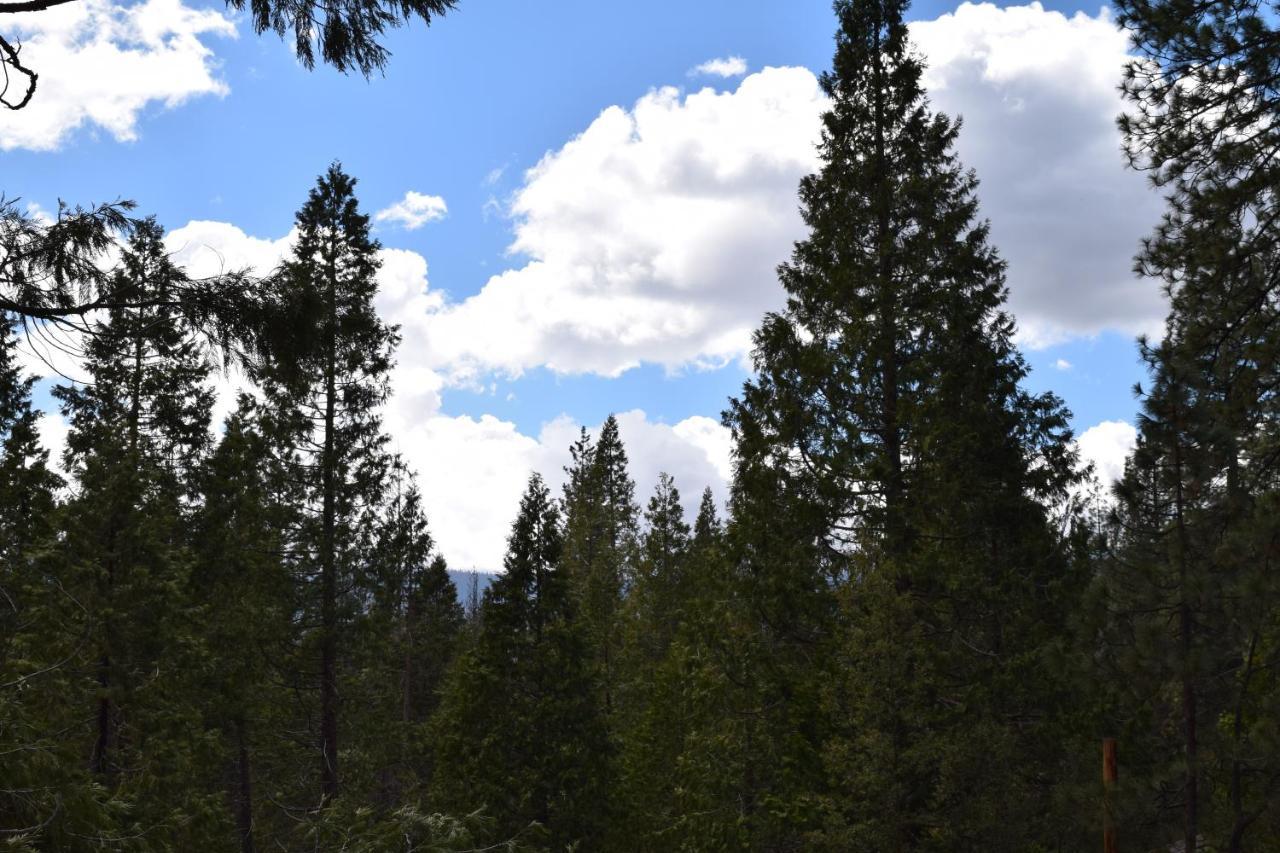 11b Sequoia House Wawona